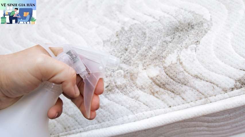 Nguyên nhân làm nệm bị mốc