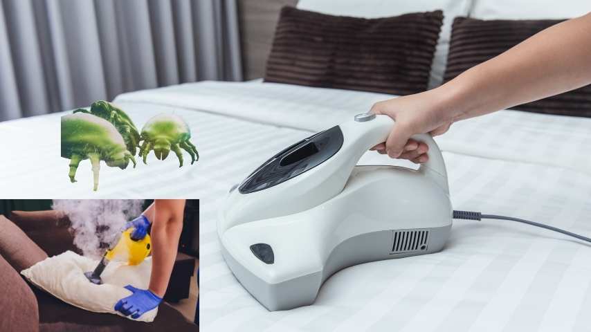 Cách làm sạch mạt bụi bám trên nệm