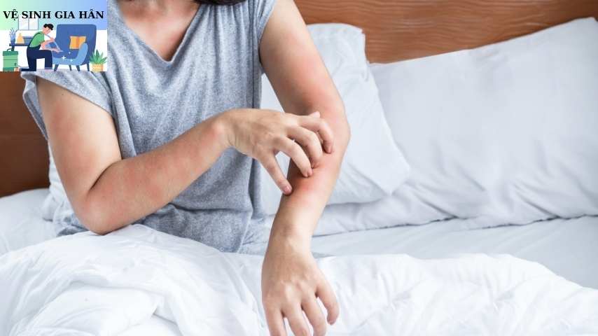 Nằm nệm bị ngứa và cách khắc phục hiệu quả