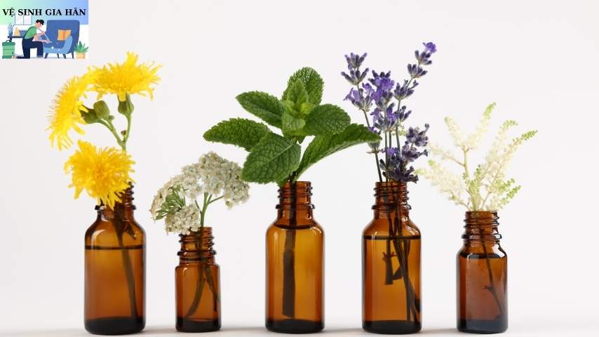 sản phẩm tinh dầu tự nhiên