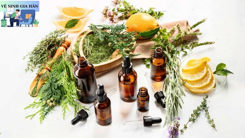 Tinh dầu và công dụng cho sức khỏe.
